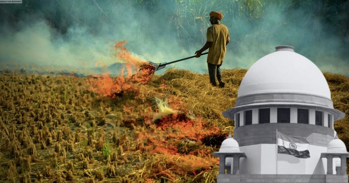 Delhi-NCR air quality: SC asking Punjab to stop stubble burning sparks political debate
